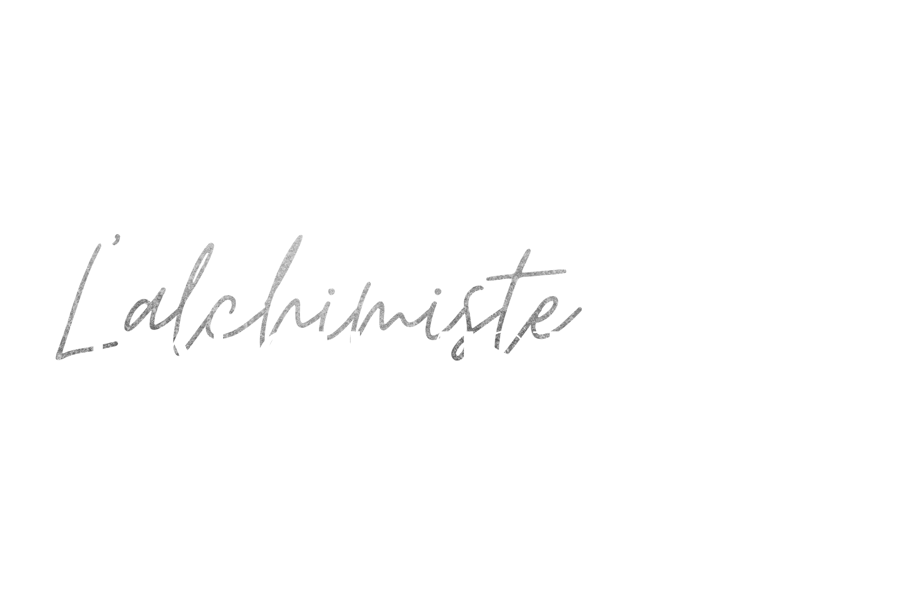 Logo + Baseline Blanc - Blanc